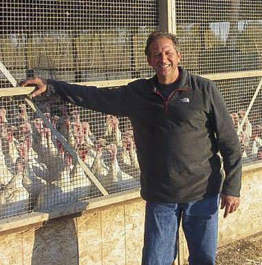 Unpredictable demand, labor shortages challenge turkey farmers